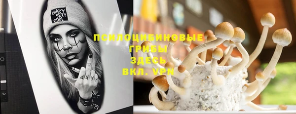 мдпв Киренск